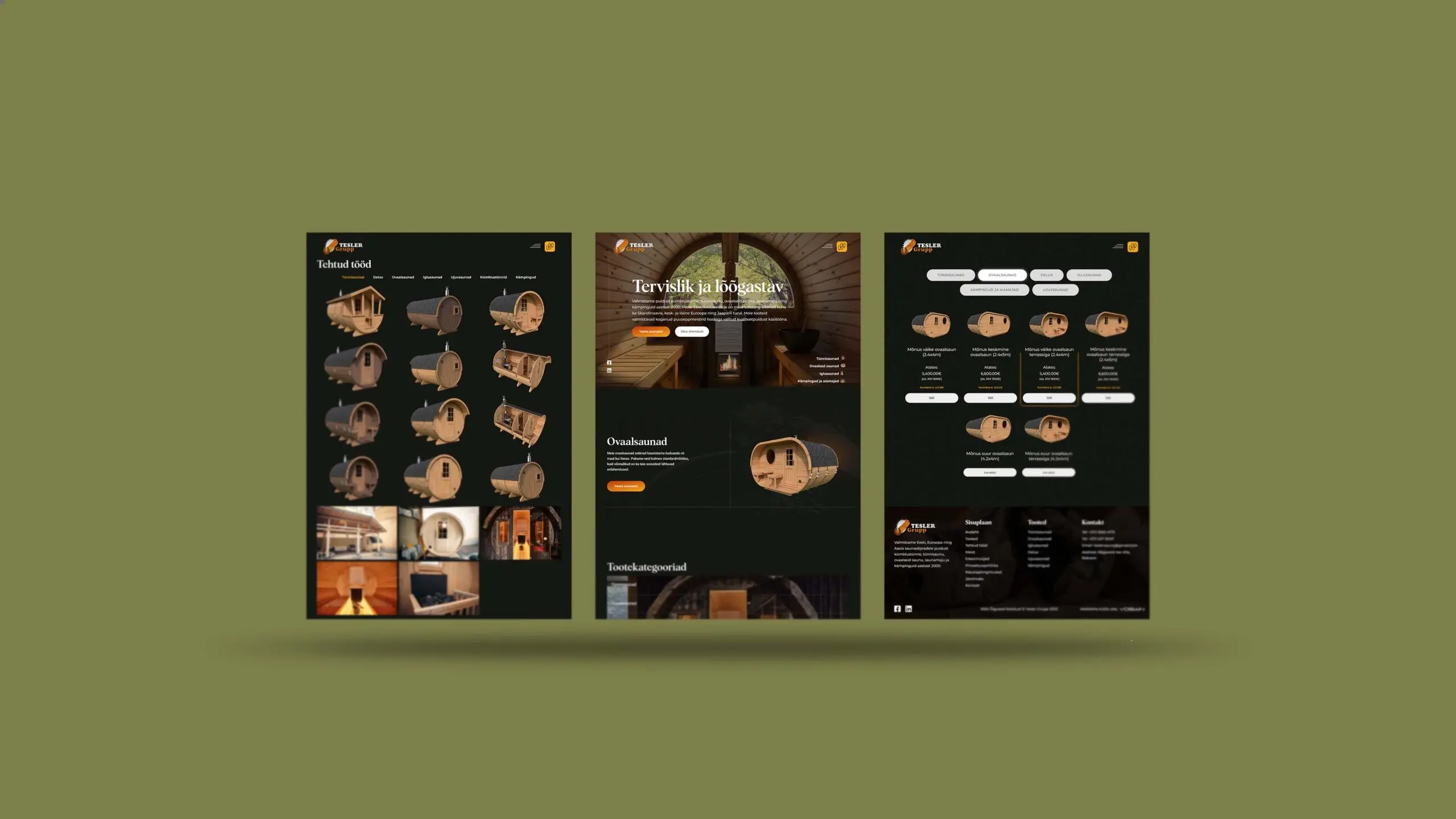 Tesler veebileht disain VDisain