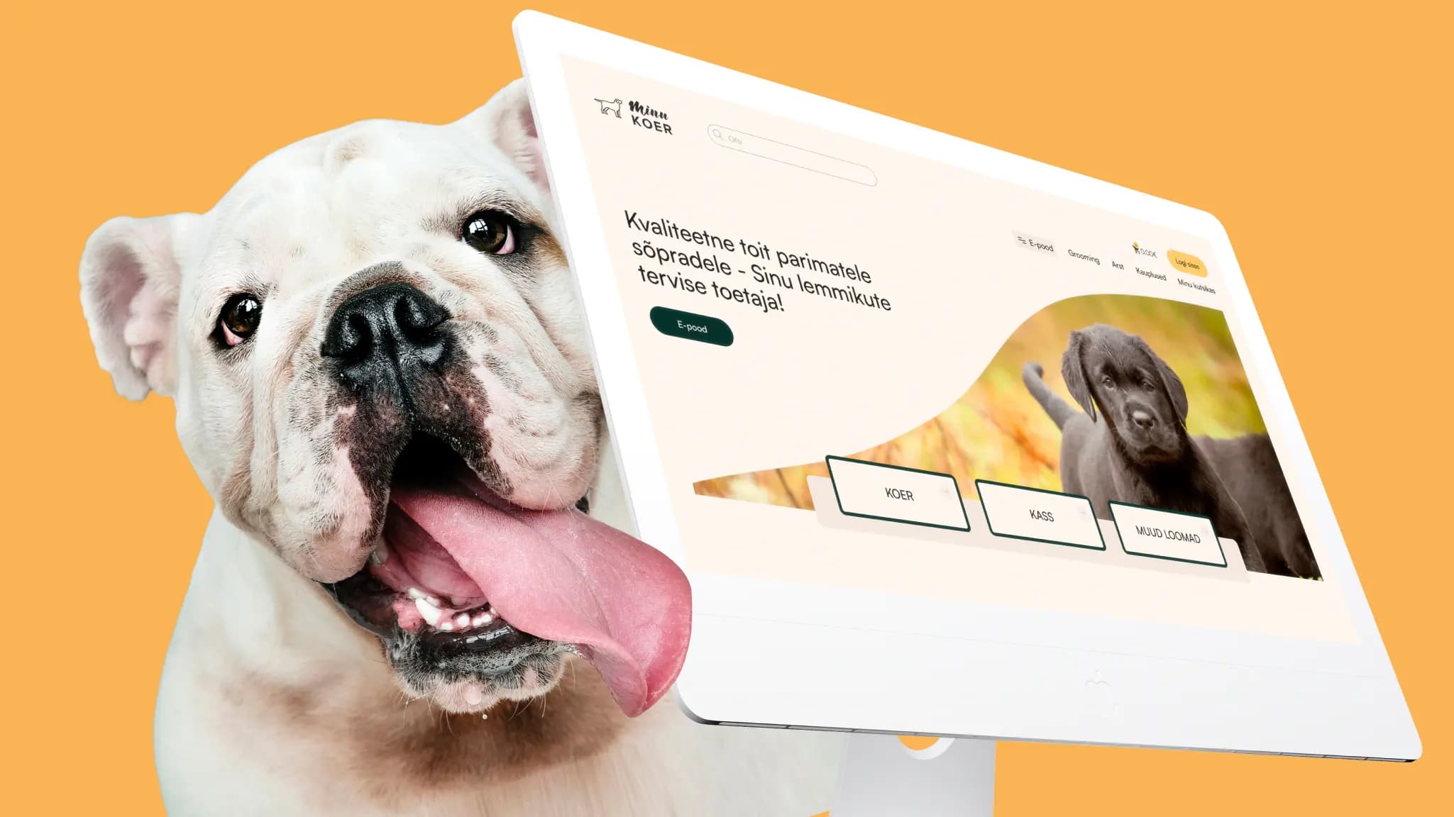 makett Minukoer bränd oranži taustaga VDisain