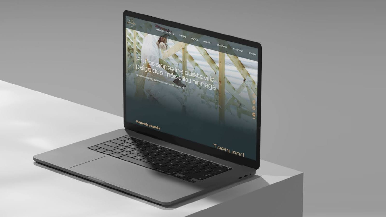 puistemees-juhtumiuuring arvutis avatud veebileht VDisain